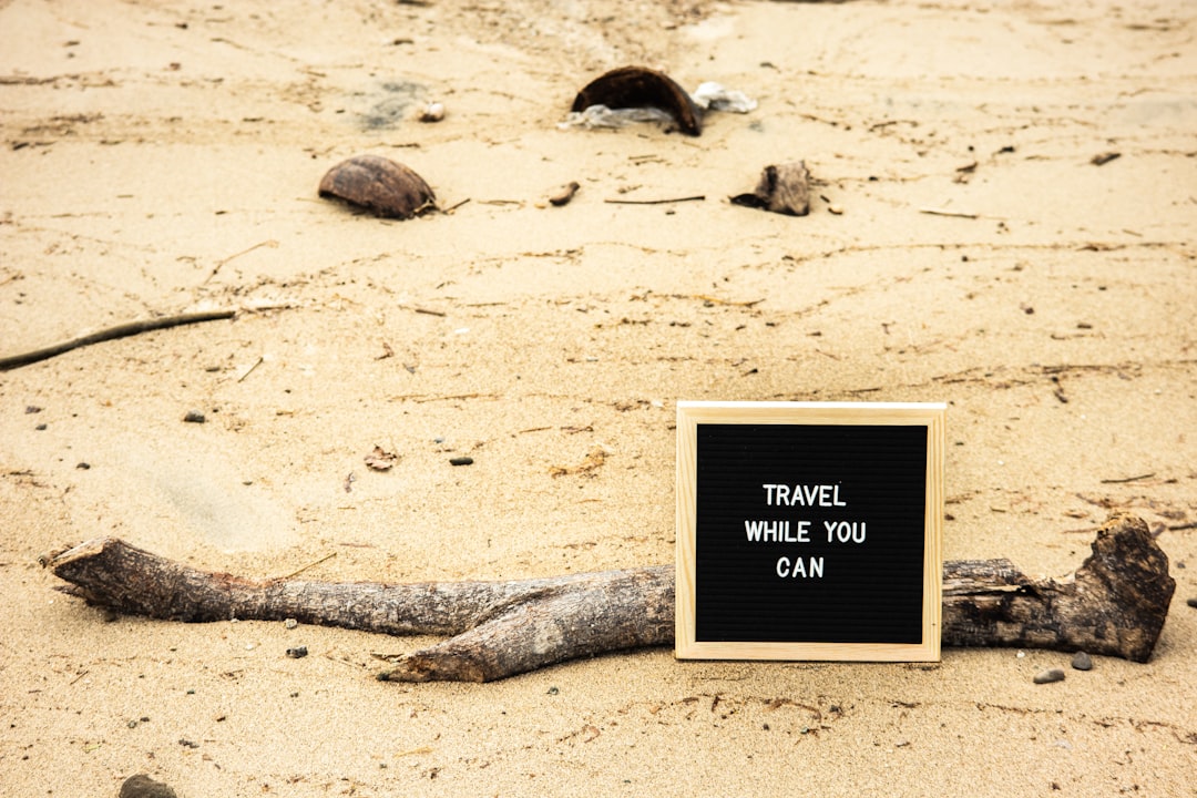 Essential Tips for Successful Travel Services Marketing Campaigns